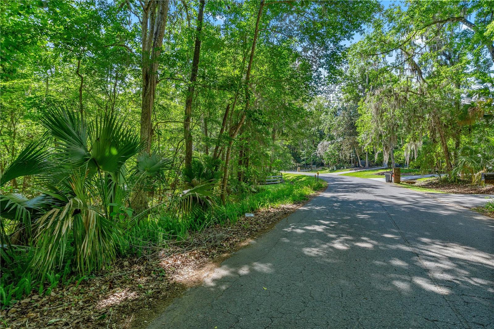 45th Street, FL