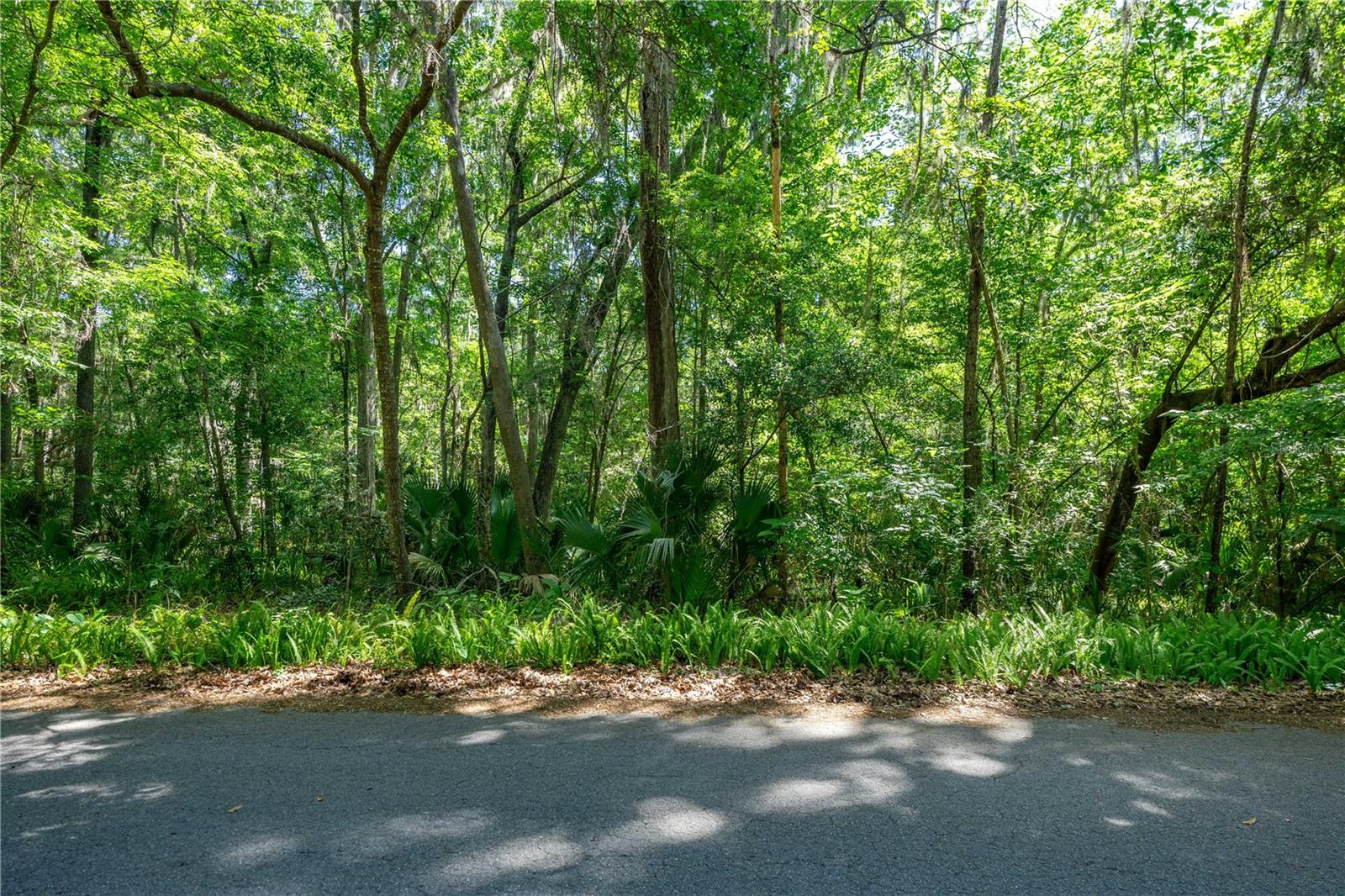 45th Street, FL