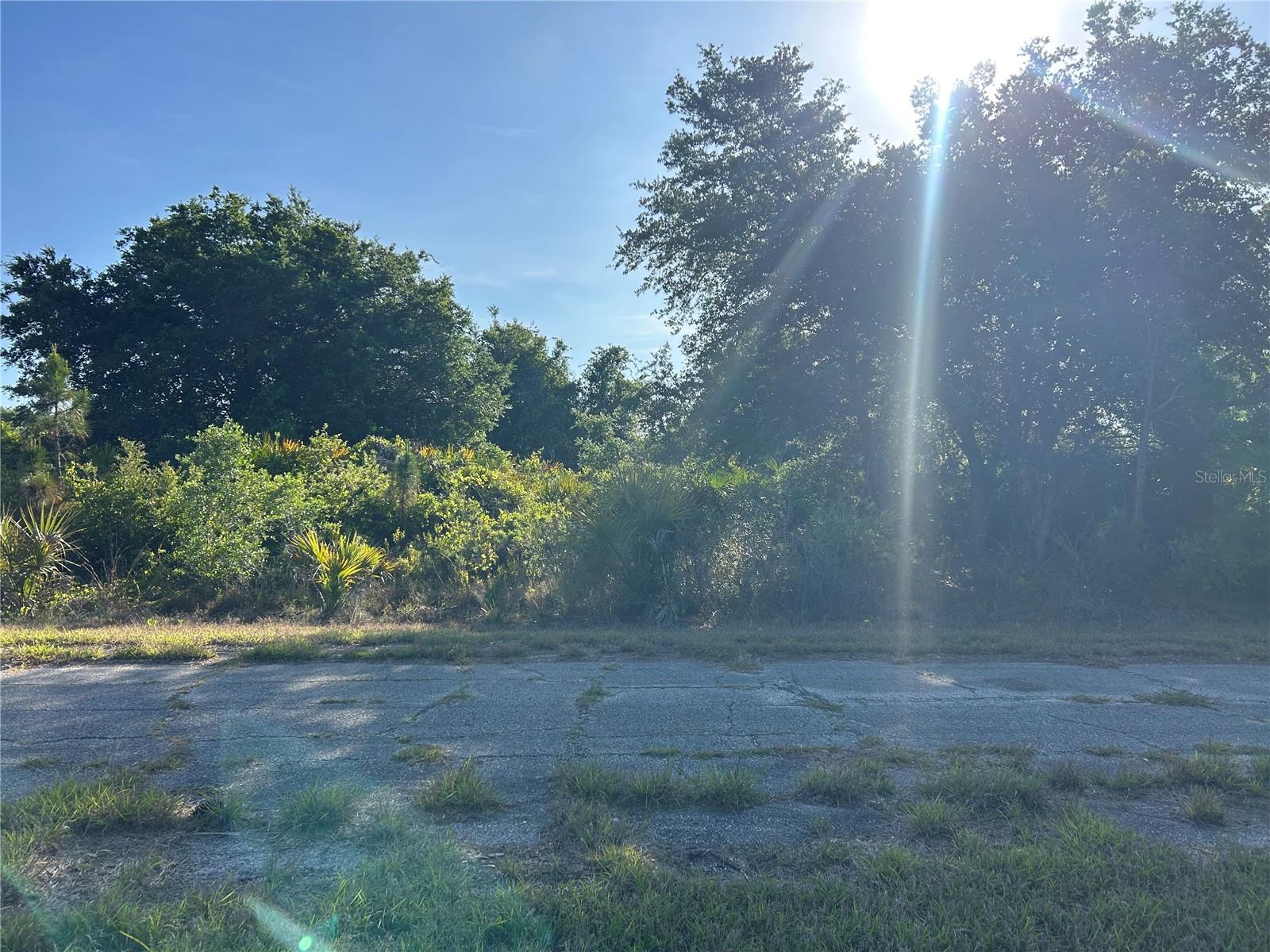 Winterville Cir, FL