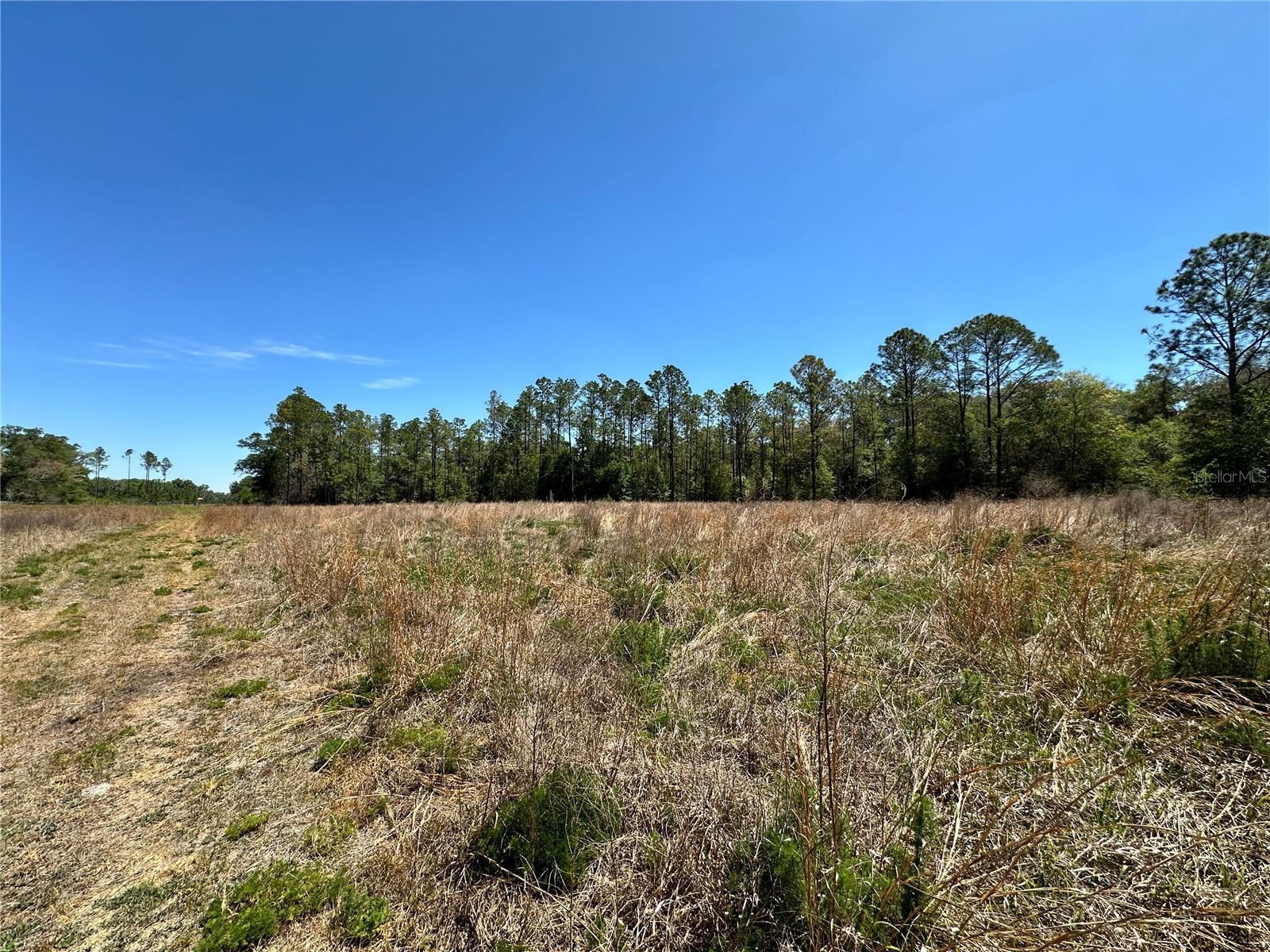 Tbd Ne 128th Ln, FL