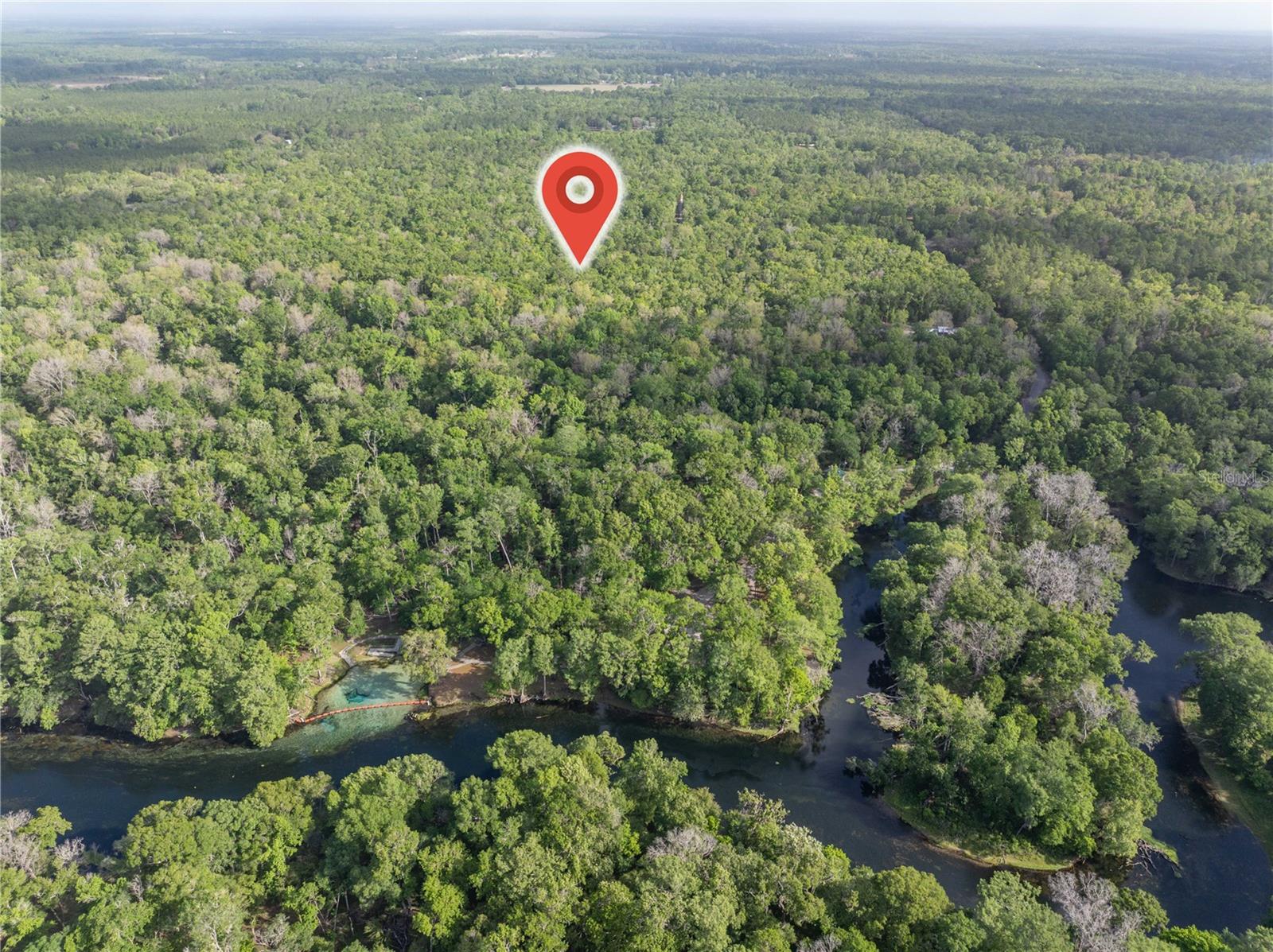 290 Sw Rattlesnake Gln, FL