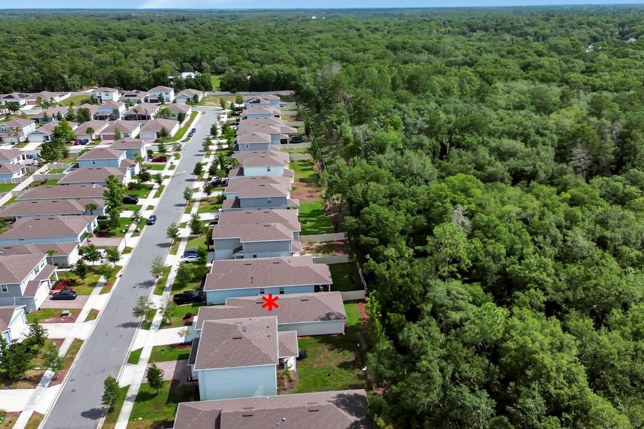 2132 Canopy Terrace Boulevard, FL