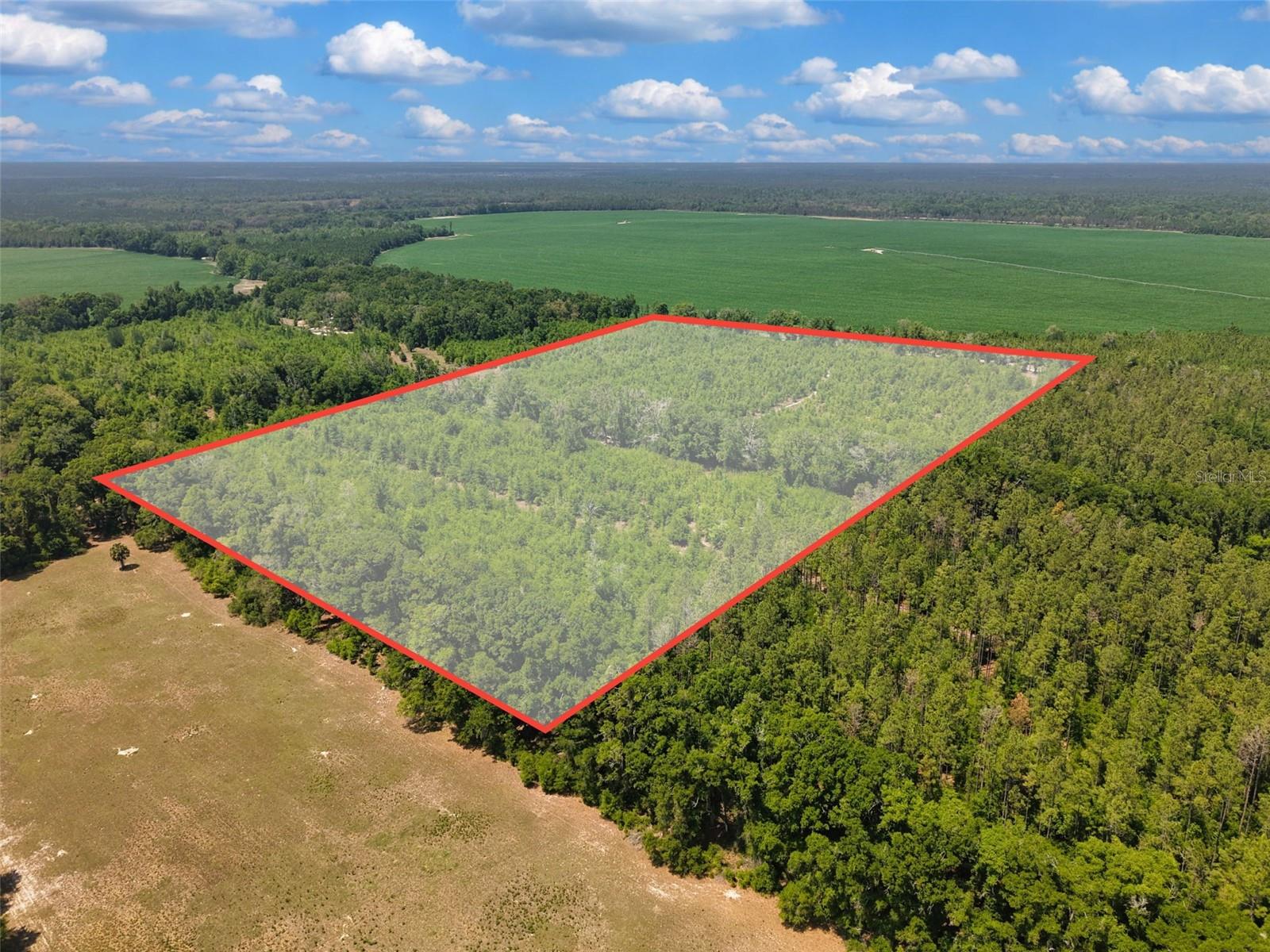 Tbd 000 Ne 998th Ave, FL