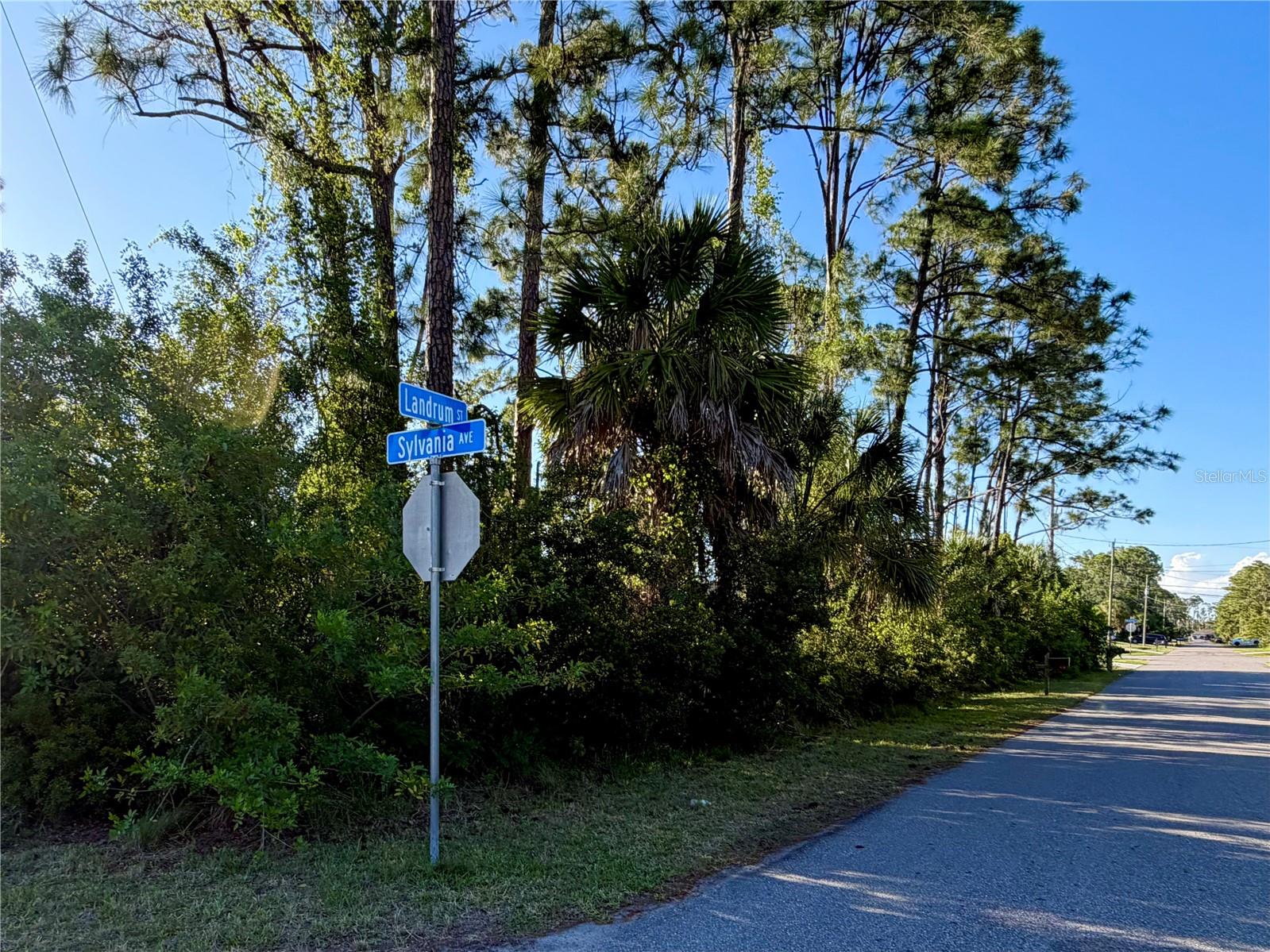 Sylvania Ave, FL