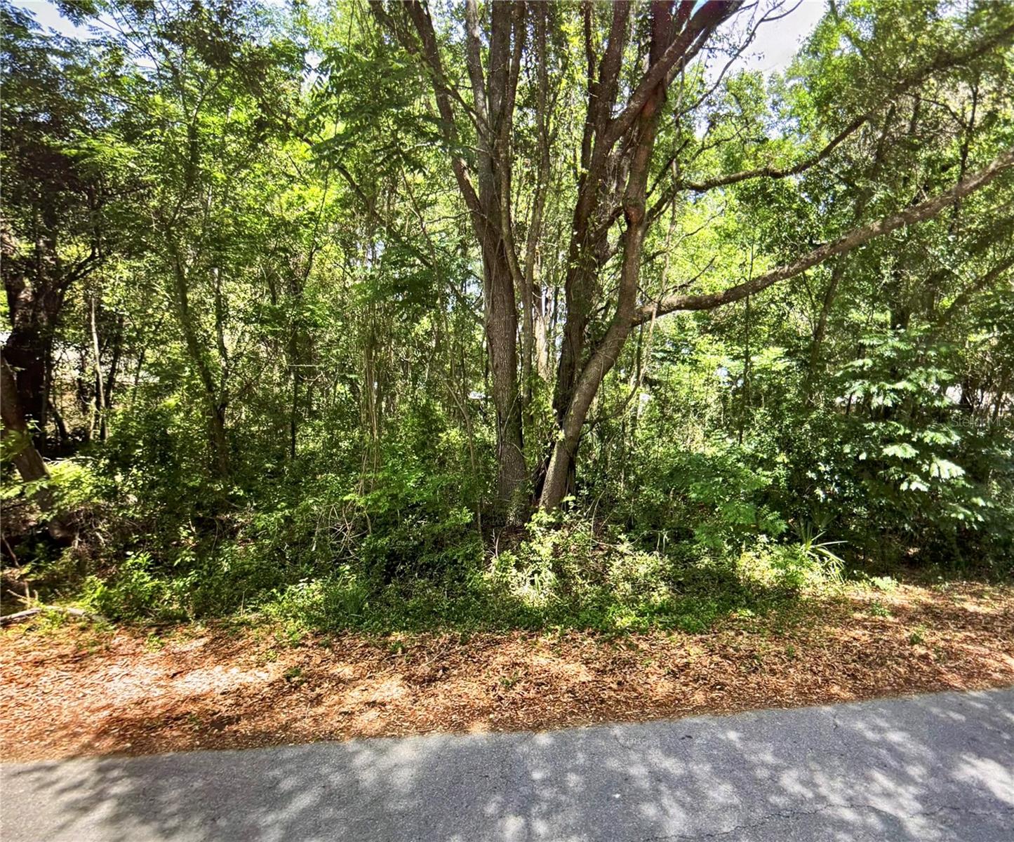 41 Pine Trace Course, FL