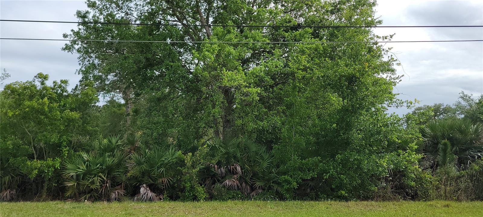 Ralston St, FL