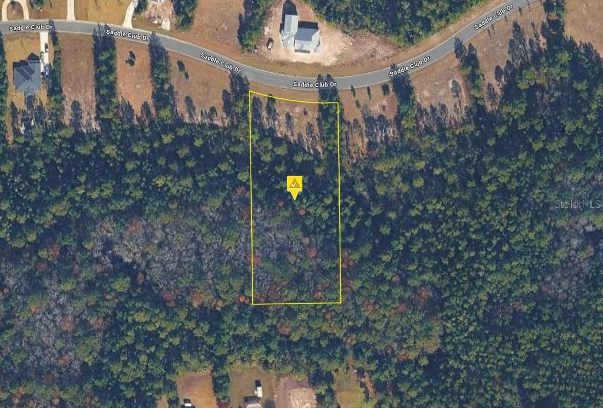 11325 Saddle Club Drive, FL