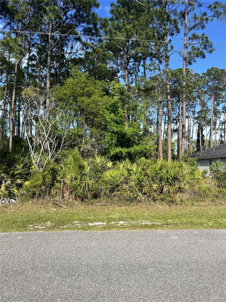 153 Ullian Trl, FL