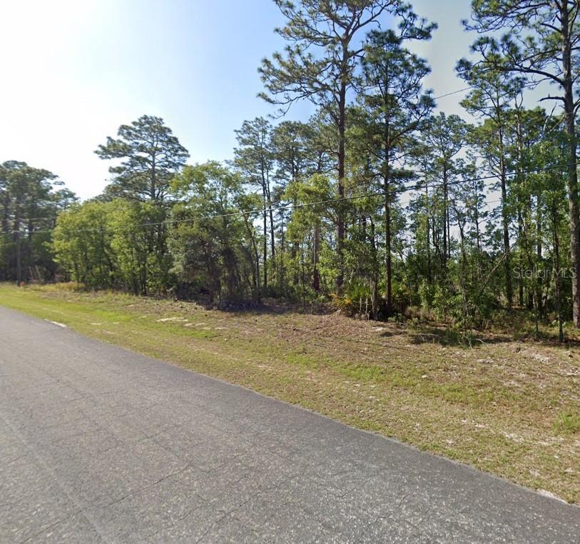 425 W Homeway Loop, FL