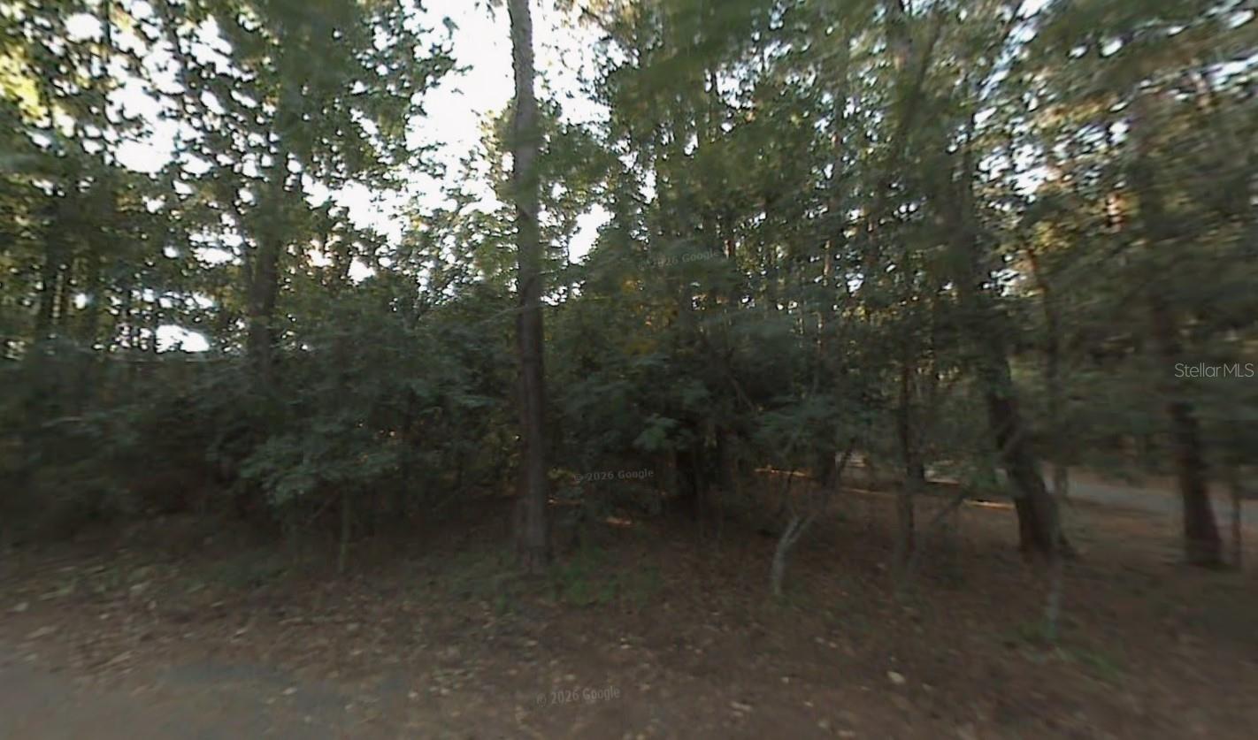 304 Wood Grove Ct, FL