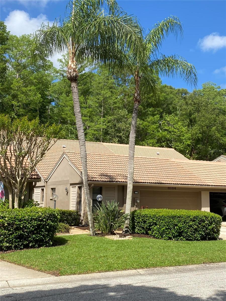 3134 Windmoor Drive, FL