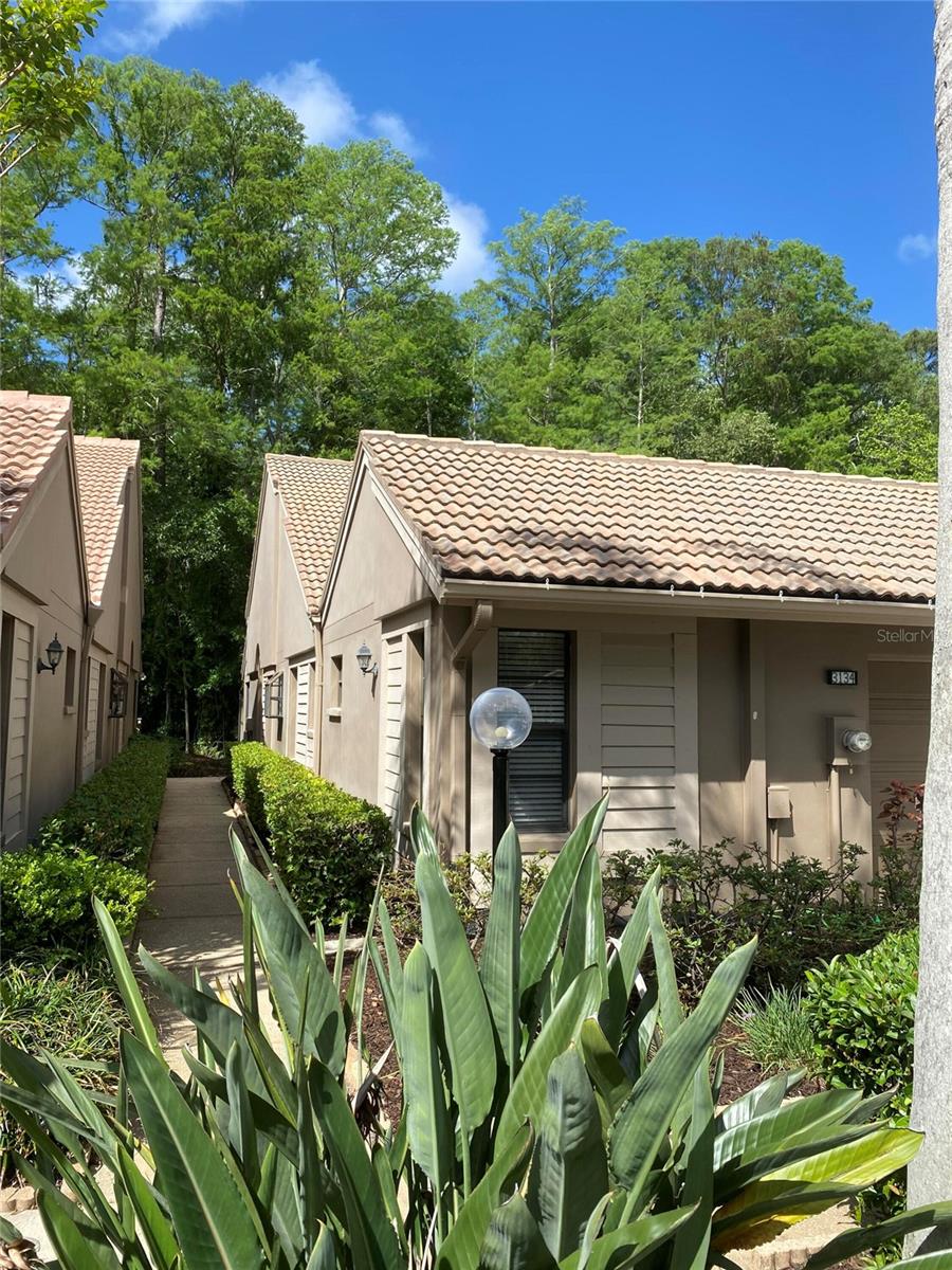 3134 Windmoor Drive, FL