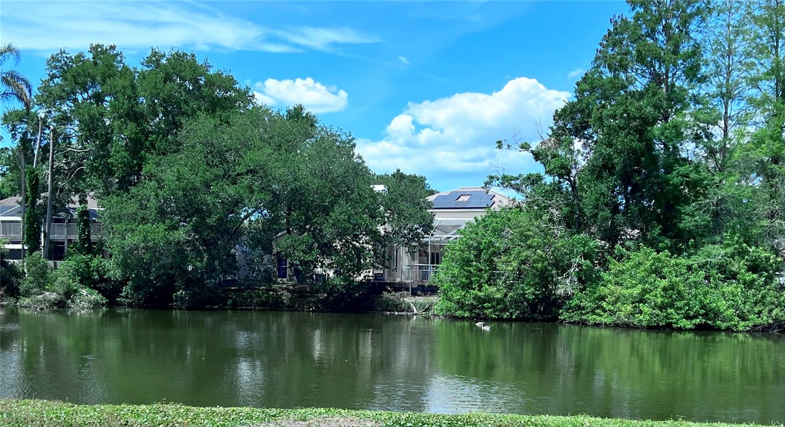 2219 Alice Lane, FL