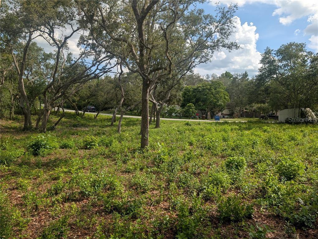 0 Merlin Circle, FL