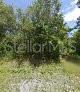 245 N Romero St, FL