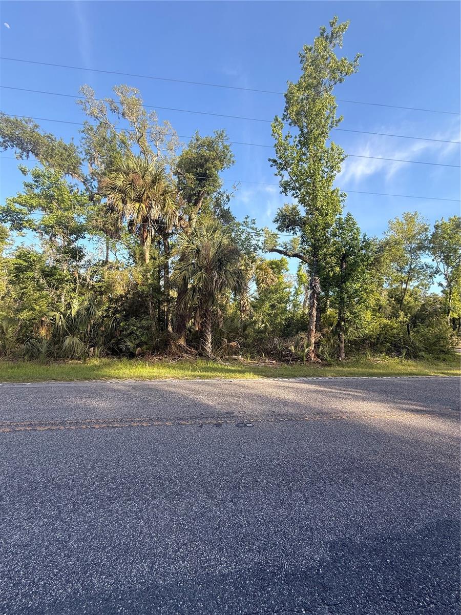 10274 W Ozello Trl, FL