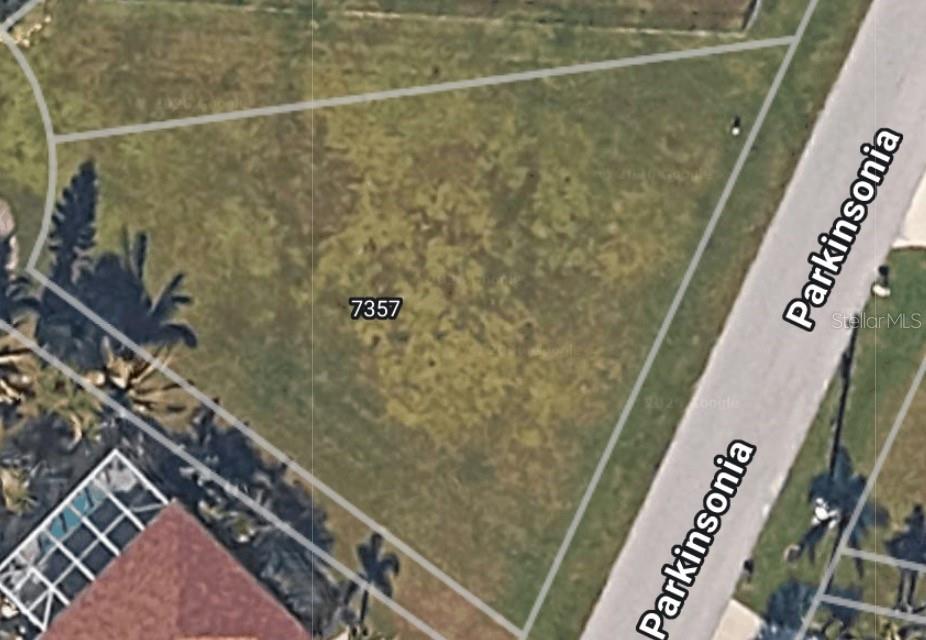7357 Parkinsonia, FL