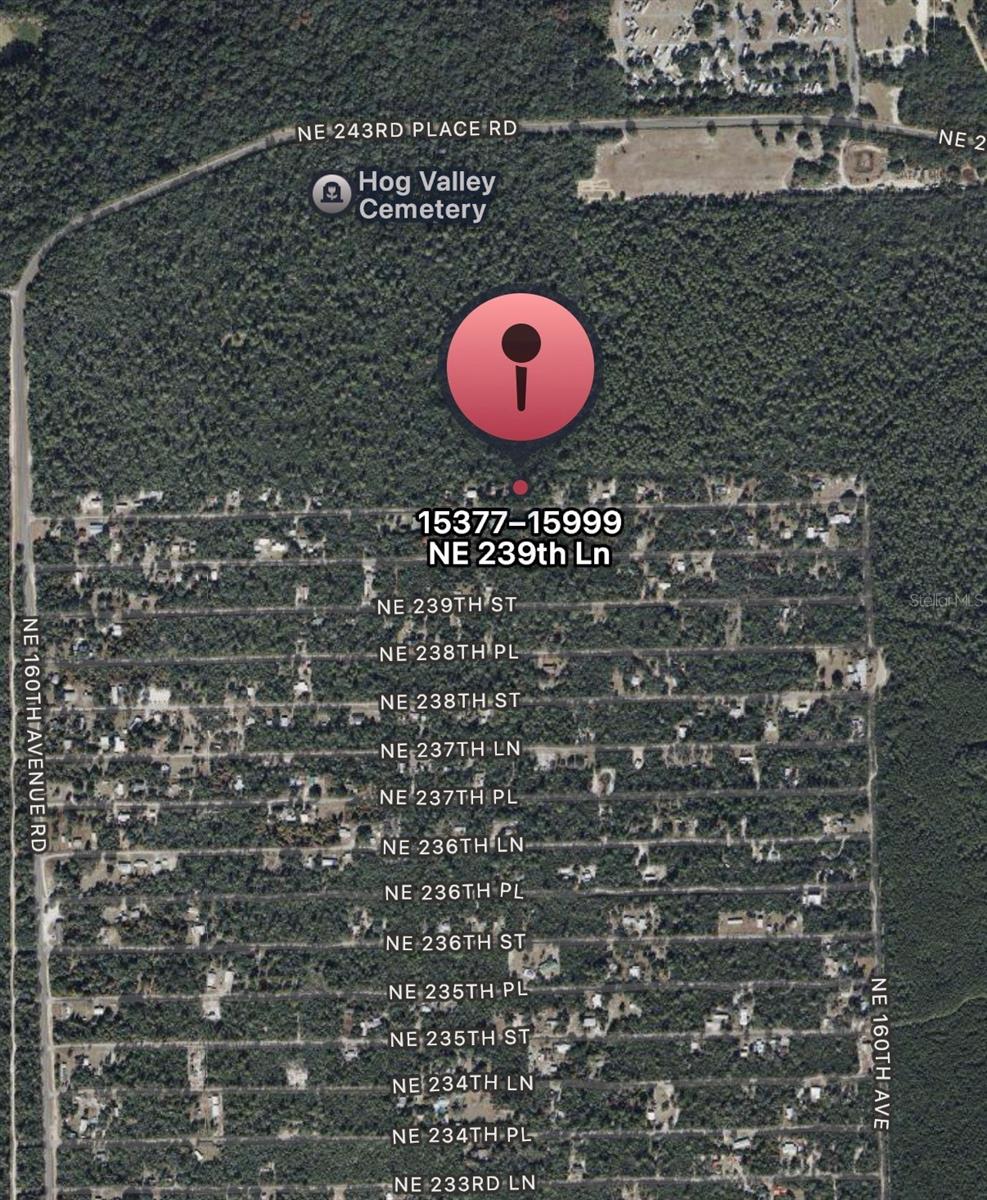 Ne 239 Ln, FL