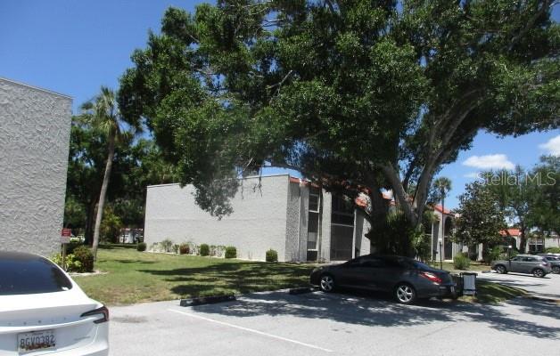 3241 Beneva Road, FL