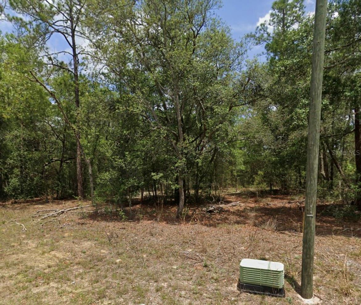 11304 N Fuego Dr, FL