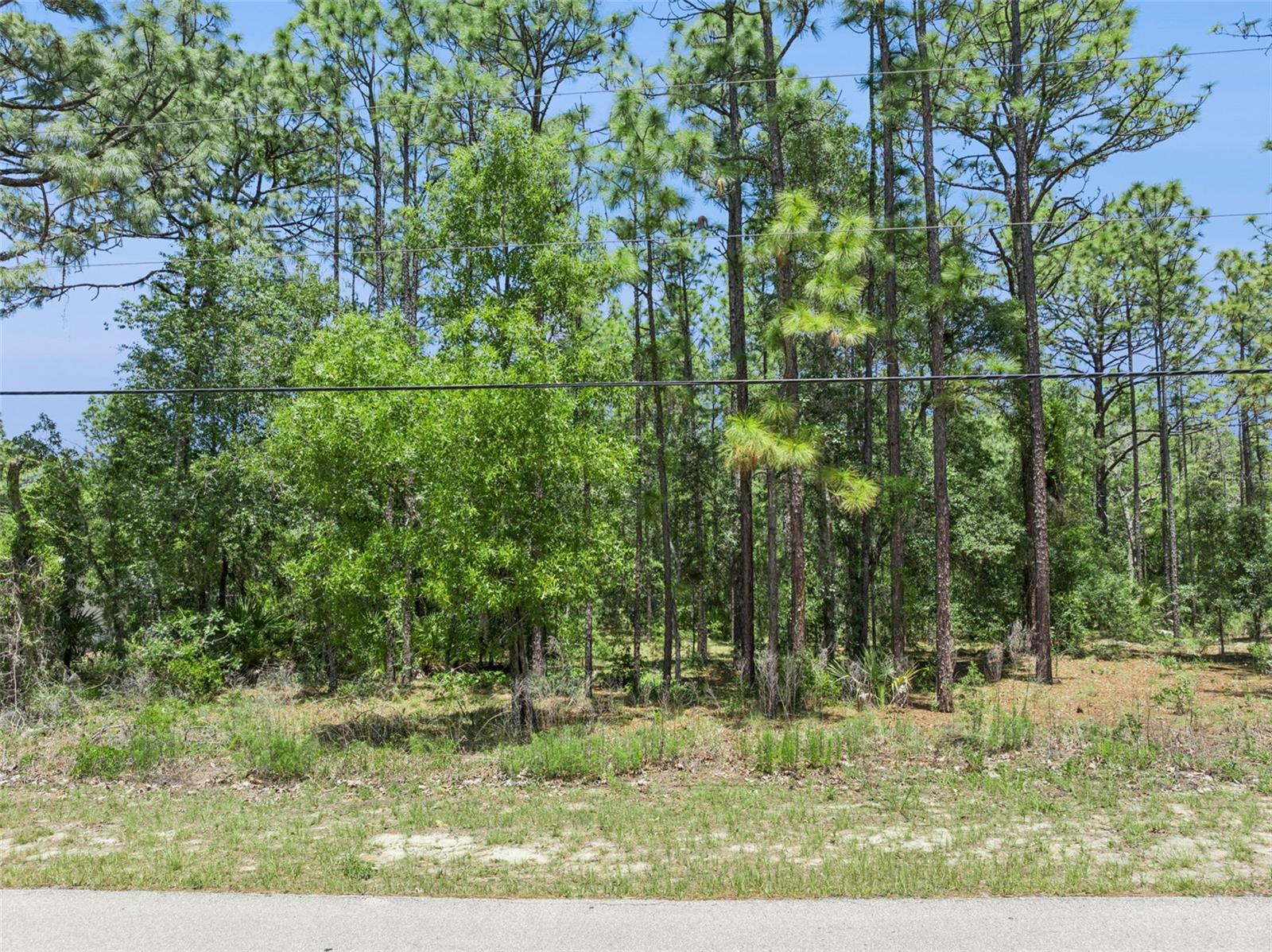 1797 W Union St, FL
