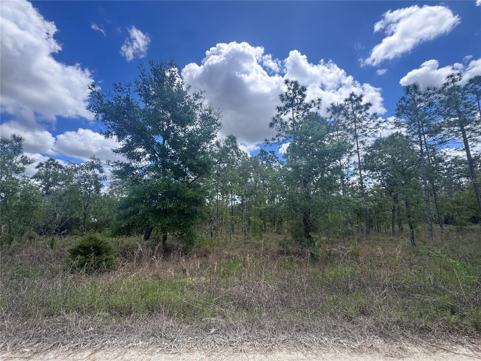 Tbd Ne 15oth Ct, FL
