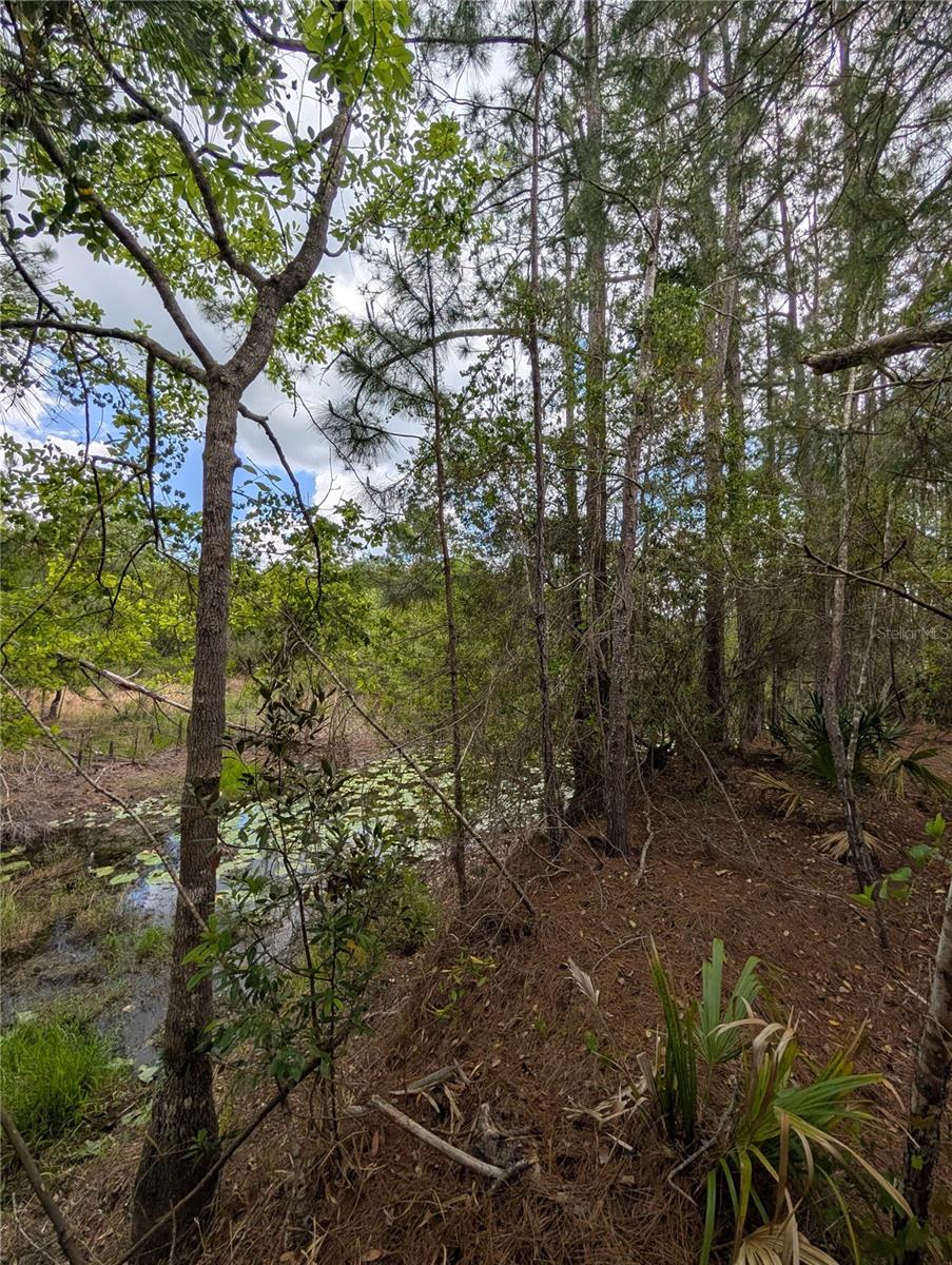 38521 Ilex Trl, FL