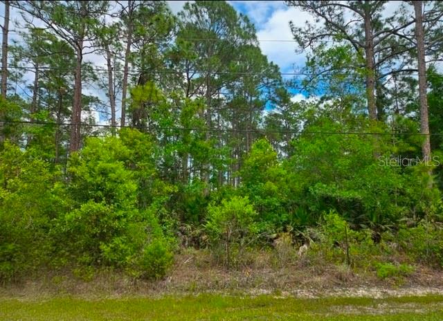 1747 Candleberry St, FL