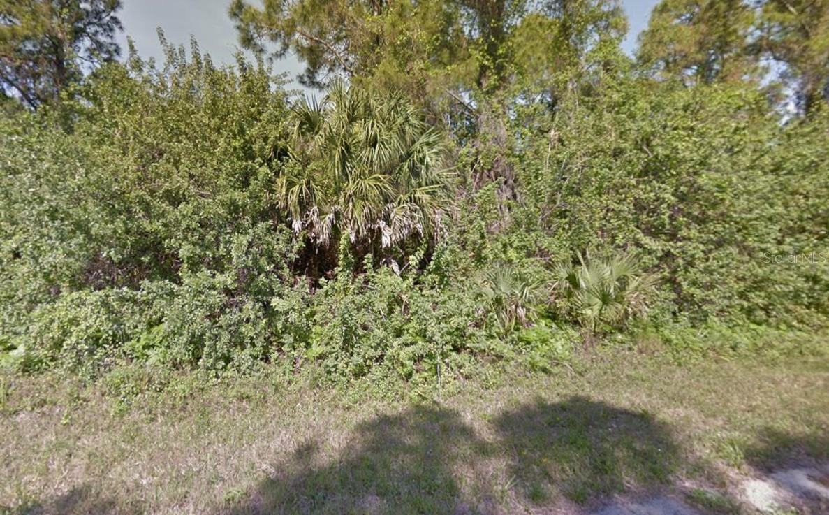 Havemeyer Street, FL