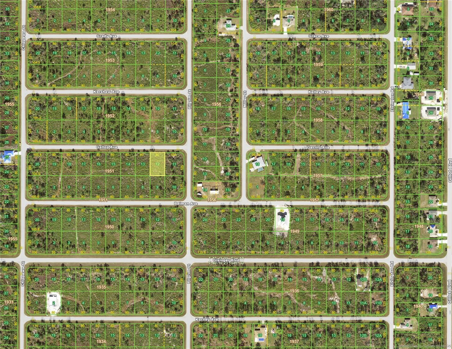 12109 Gallop Ave, FL