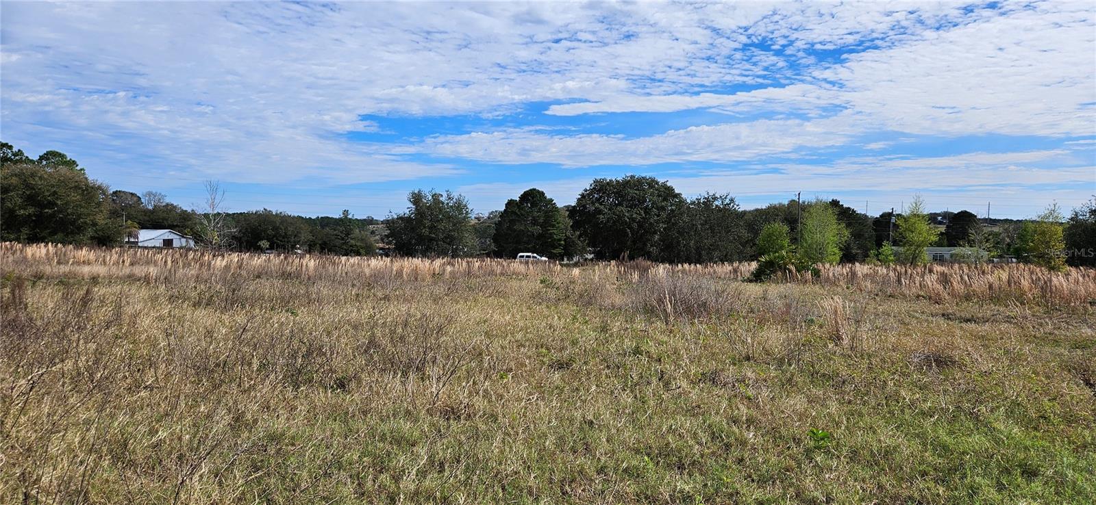 24207 Turkey Lake Road, FL