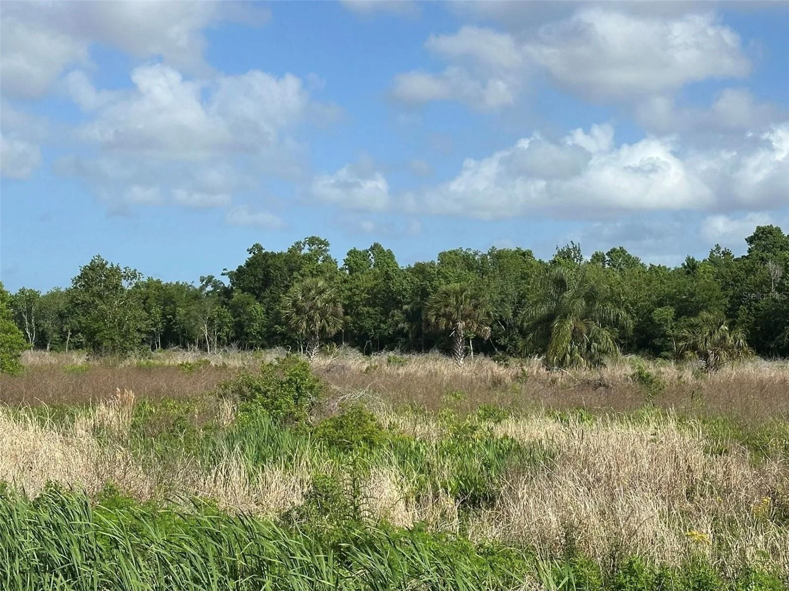 Howard Avenue, FL