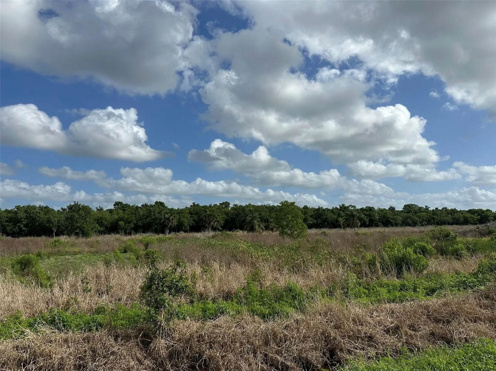 Howard Avenue, FL