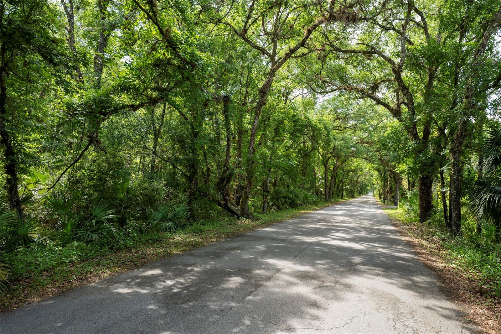 651 County Road 13, FL
