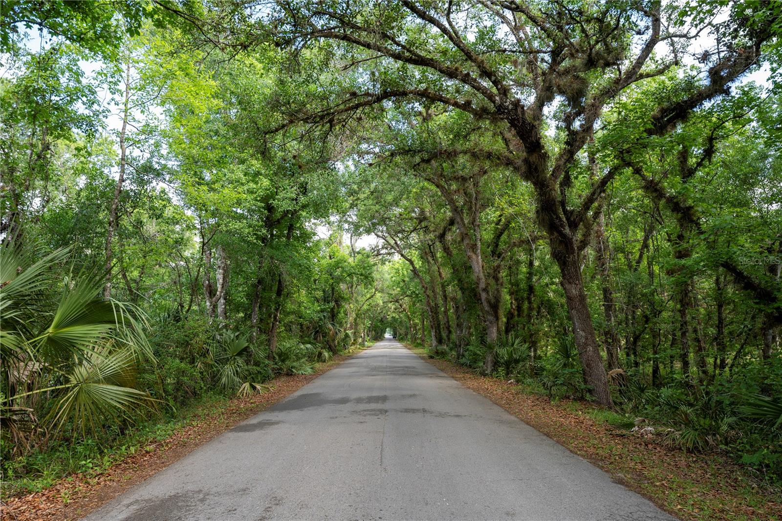 651 County Road 13, FL