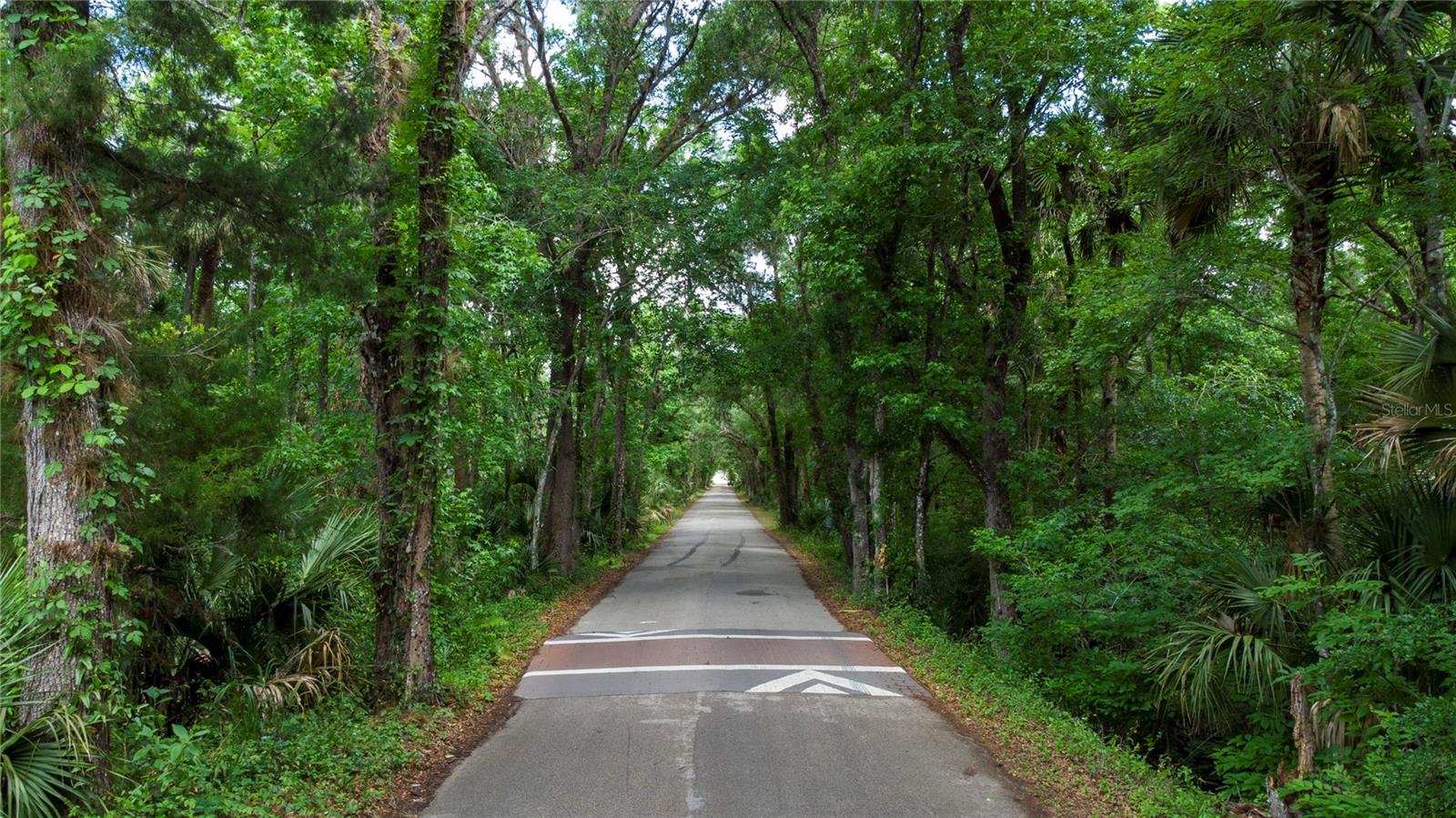 651 County Road 13, FL