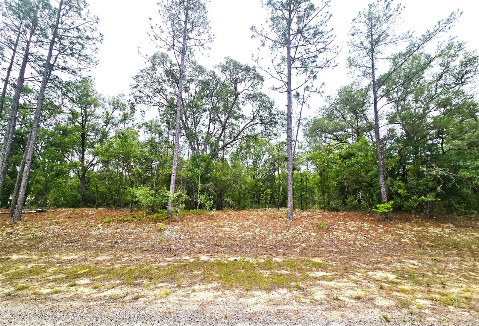 576 E Nemo Dr, FL