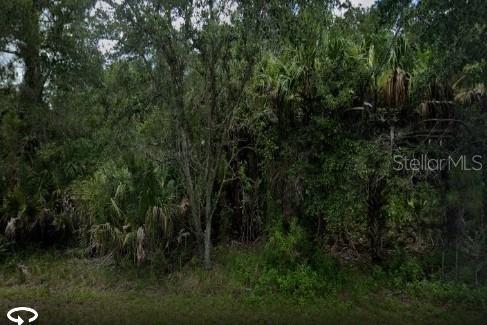 435 Edgar St, FL