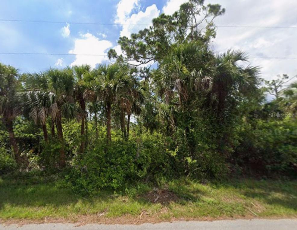 449 Cheshire St, FL