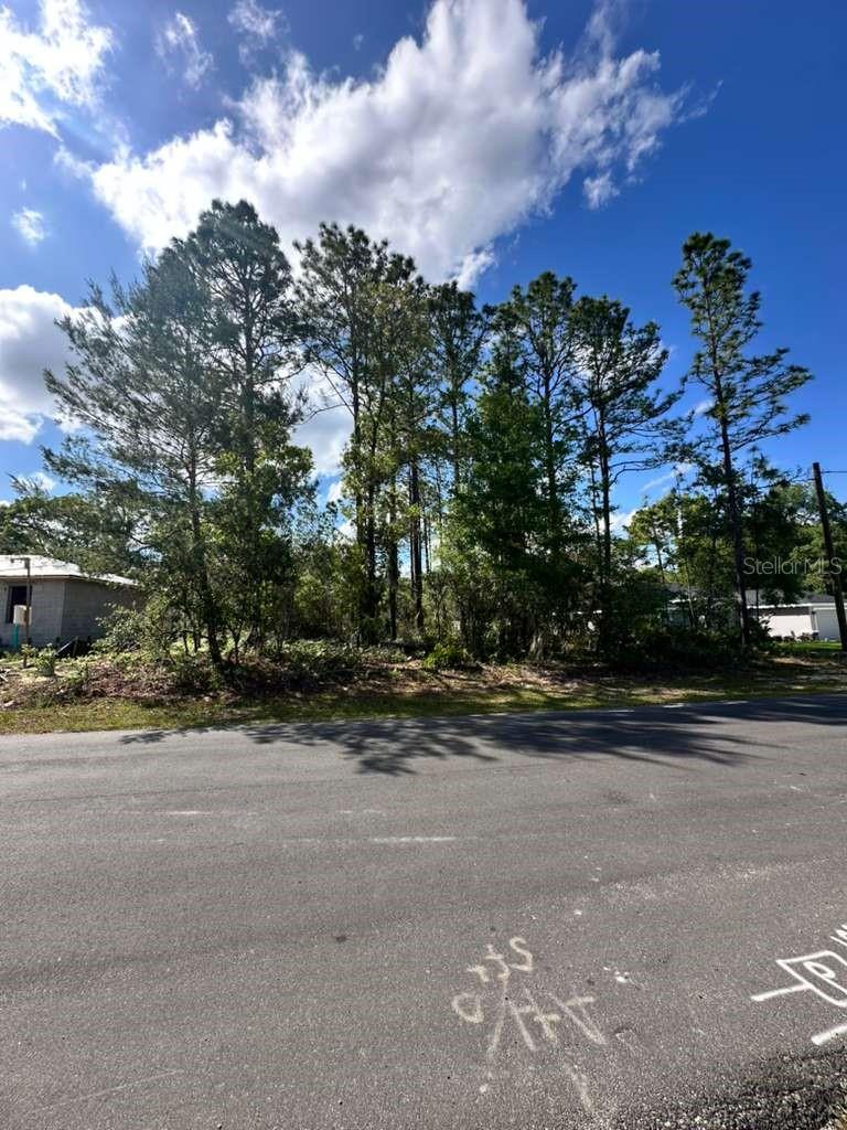 3125 W Fairbank Dr, FL