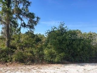 713 (Blk 123 Lots 15&16) Camellia Dr, FL