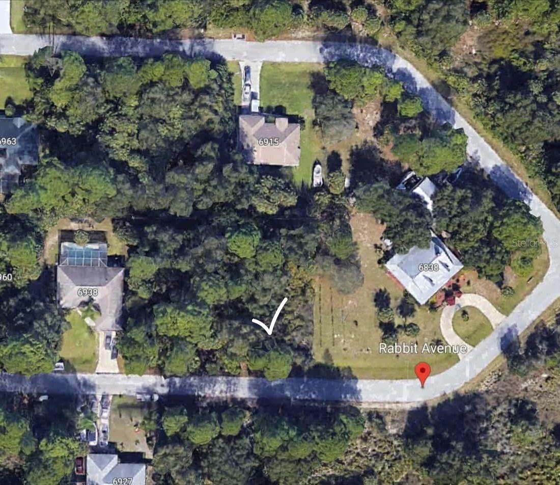 Rabbit Ave, FL