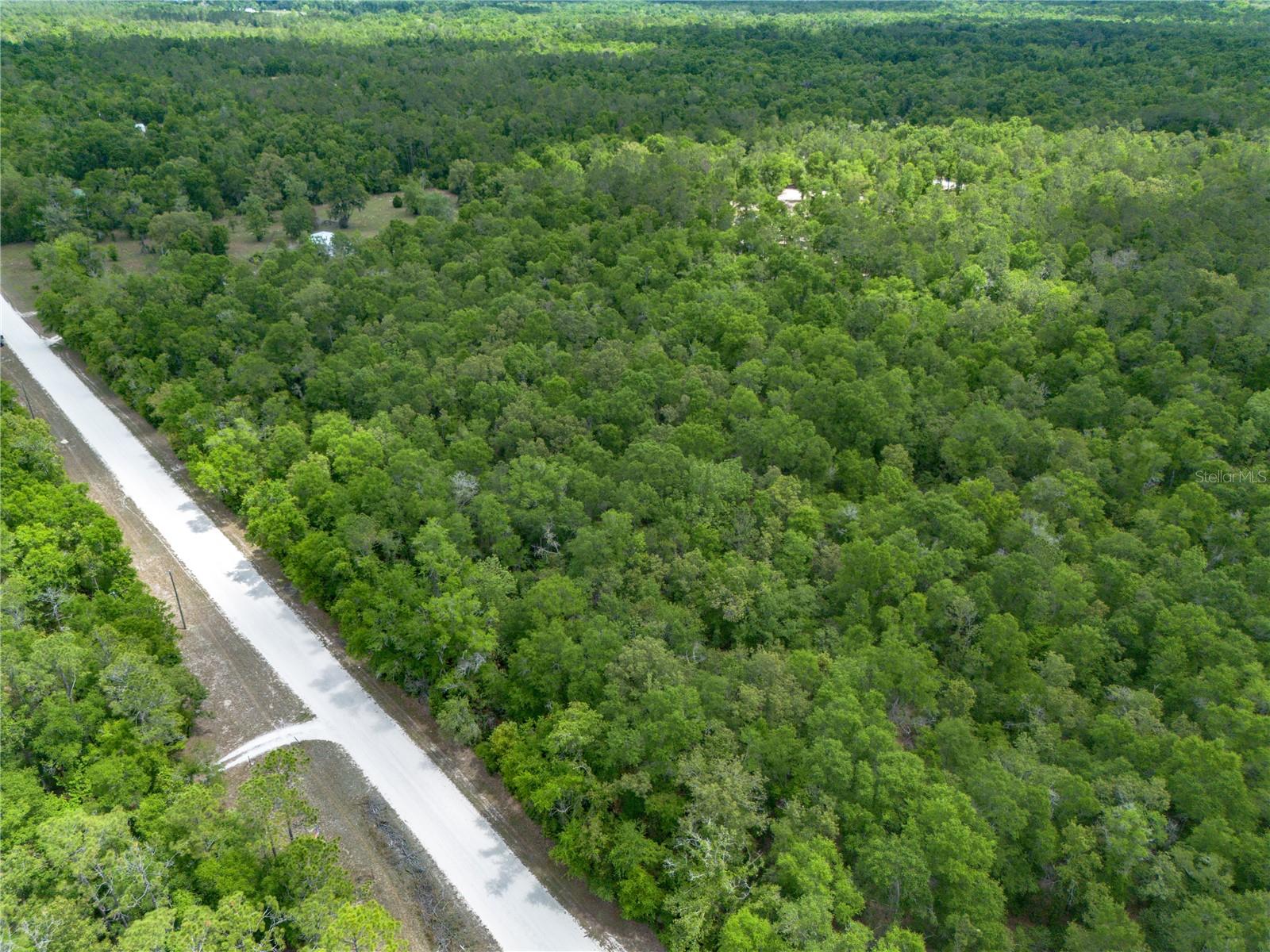 Sw Loncala Loop, FL