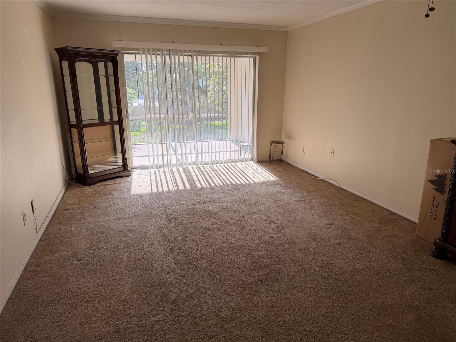 10335 Carrollwood Lane, FL