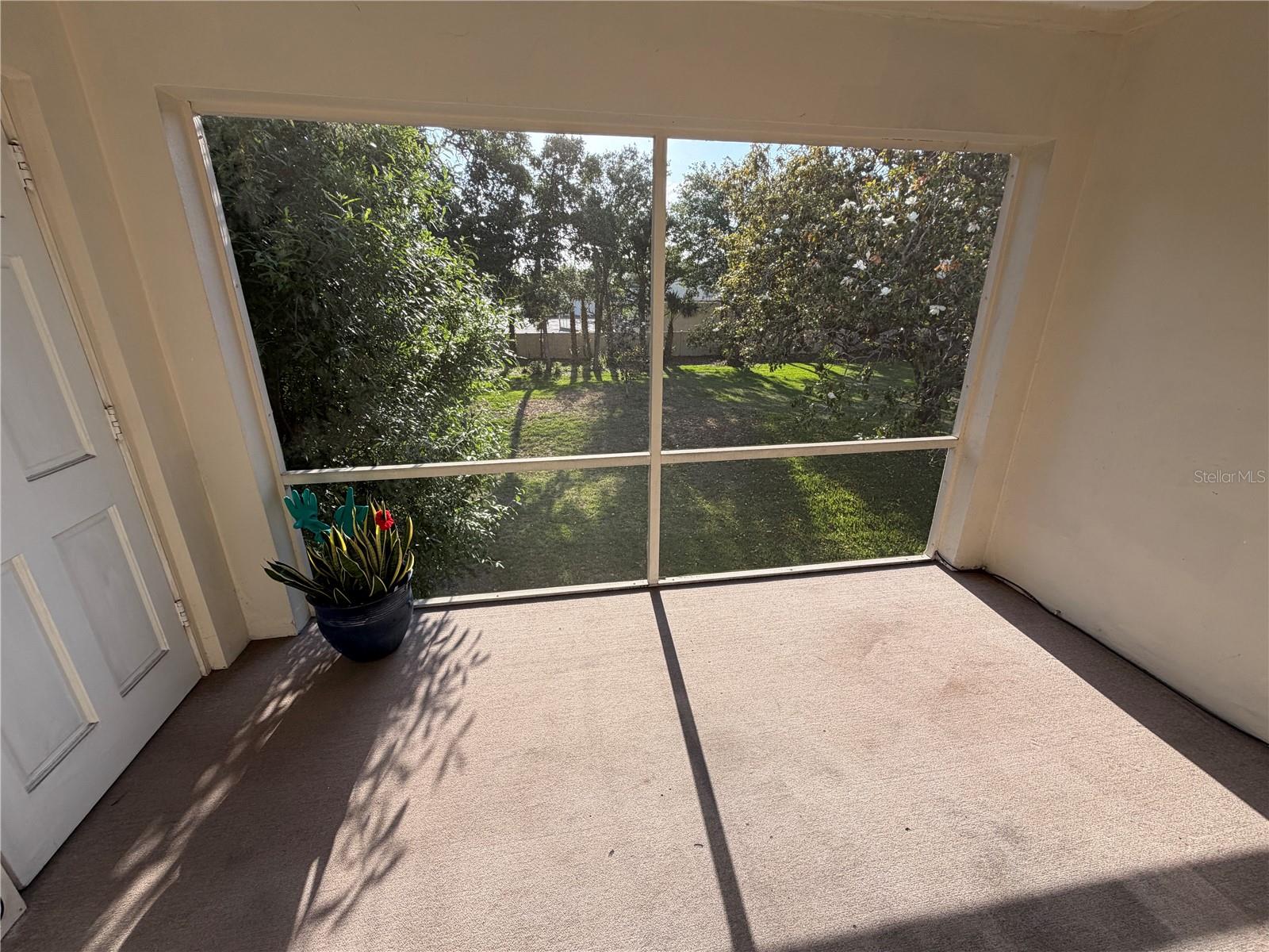 10335 Carrollwood Lane, FL