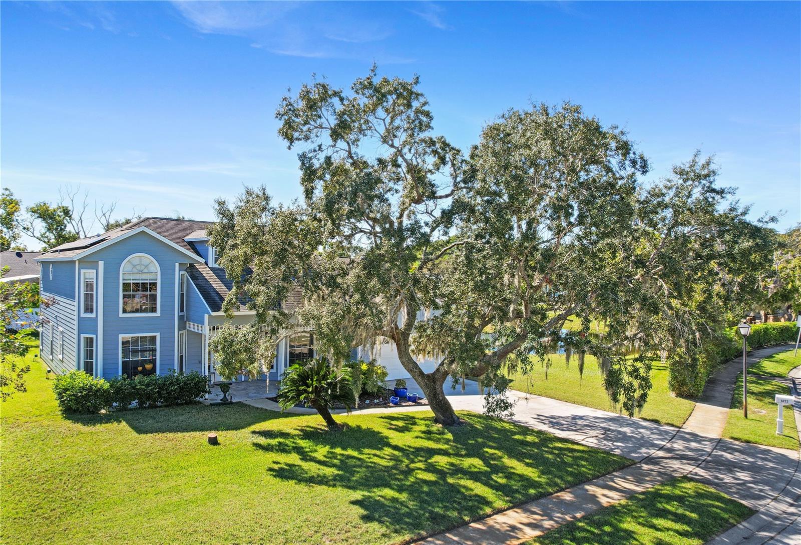6222 Courtney Cove, FL