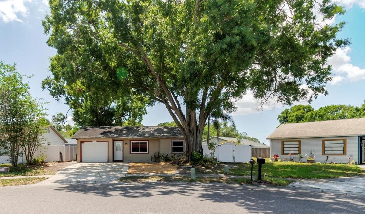 2009 Peppertree Court, FL