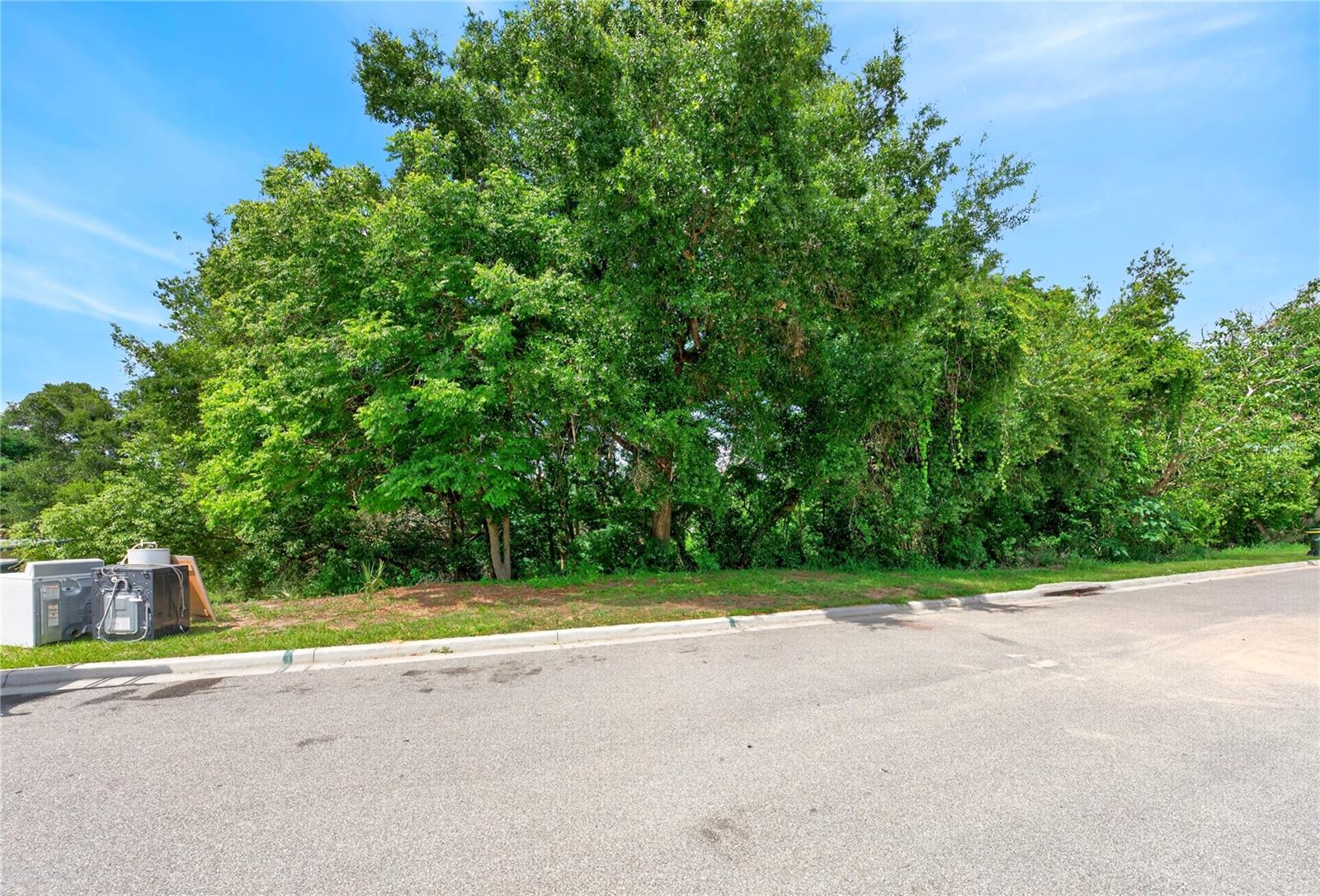 E Minneola Ave, FL