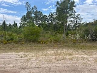 417 (Blk 172 Lot 16) Magnolia Dr, FL