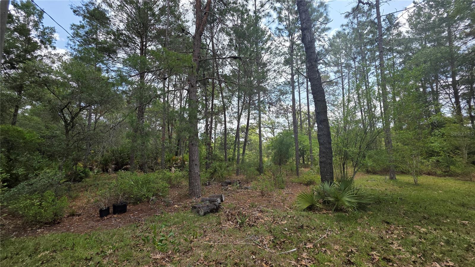 5719 Stockholm Lane, FL